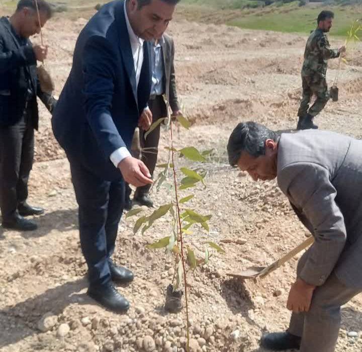 کشت سه هزار نهال آکالپیتوس در دانشگاه آزاد اسلامی واحد اندیمشک